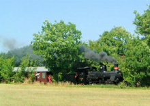 Veterantoget nærmer sig Tranevej i Høng 3. juli 2008