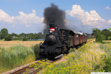 Mellem Stenlille og Vedde 15. juli 2009